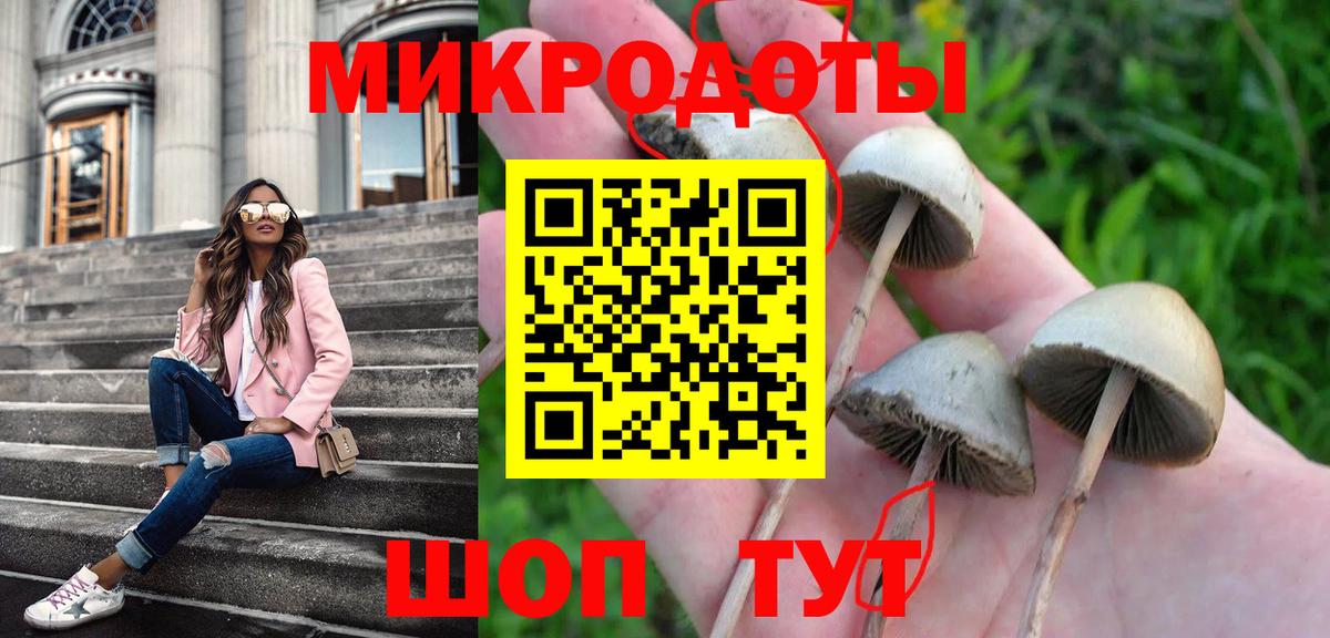 Галлюциногенные грибы Cubensis Северобайкальск